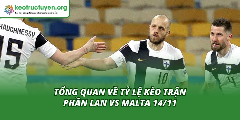 Toàn cảnh phân tích tỷ lệ kèo trận Phần Lan vs Malta 14/11