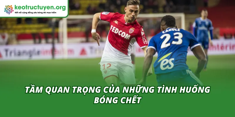 Tầm quan trọng của những tình huống trong trận Strasbourg vs Monaco 06/02