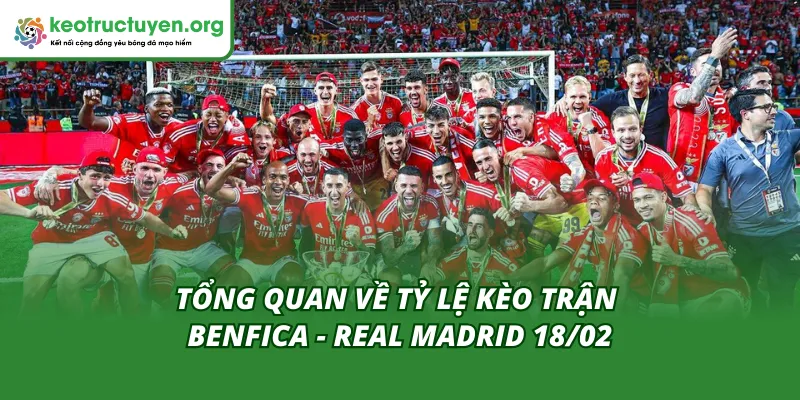 Cái nhìn tổng quan về tỷ lệ kèo trận Benfica - Real Madrid 18/02